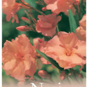 Nerium Mrs F Roeding (Common Name - Oleander) 175mm Pot