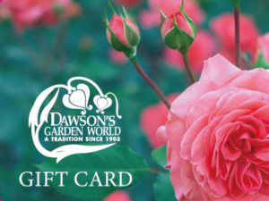 Dawson Garden World Gift Voucher Rose Design $100.00